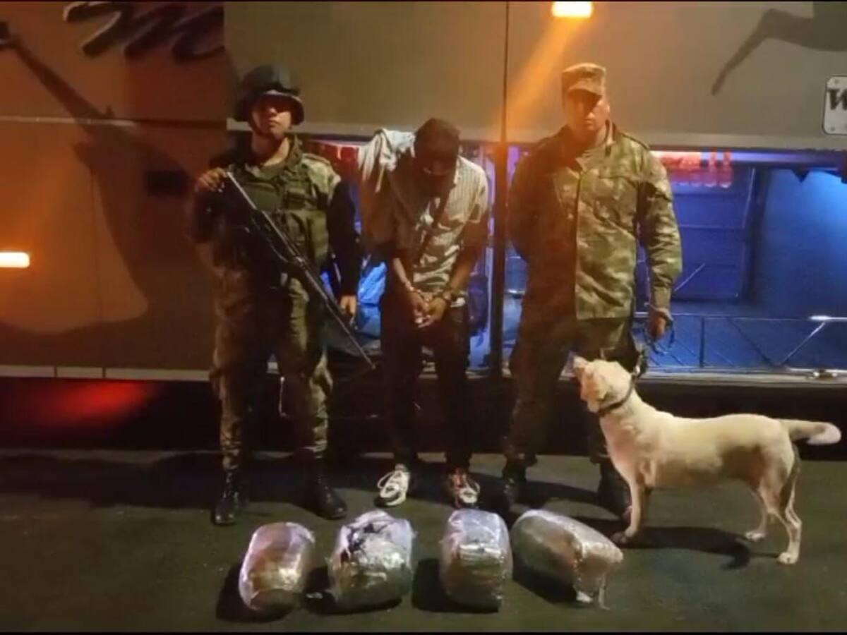 30 mil dosis de marihuana incautadas en La Línea con la ayuda de perros antinarcóticos