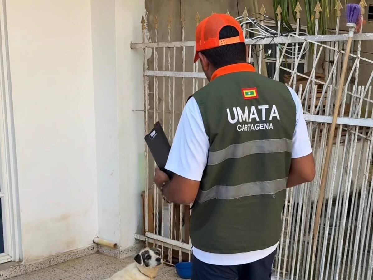 Umata atiende llamado ciudadano en Cartagena sobre bienestar animal