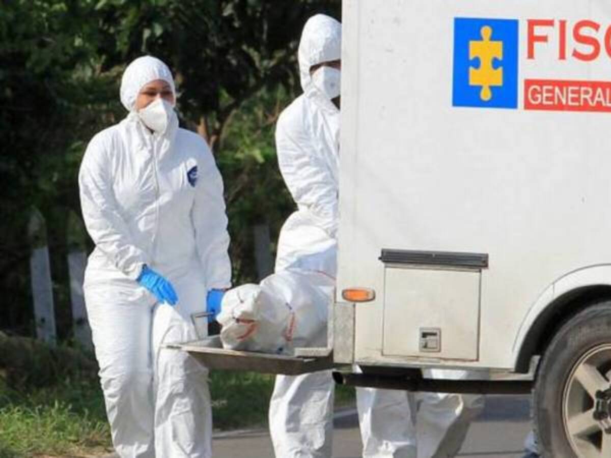 Desmovilizados de las FARC, asesinados por Clan del Golfo y ELN: Fiscalía