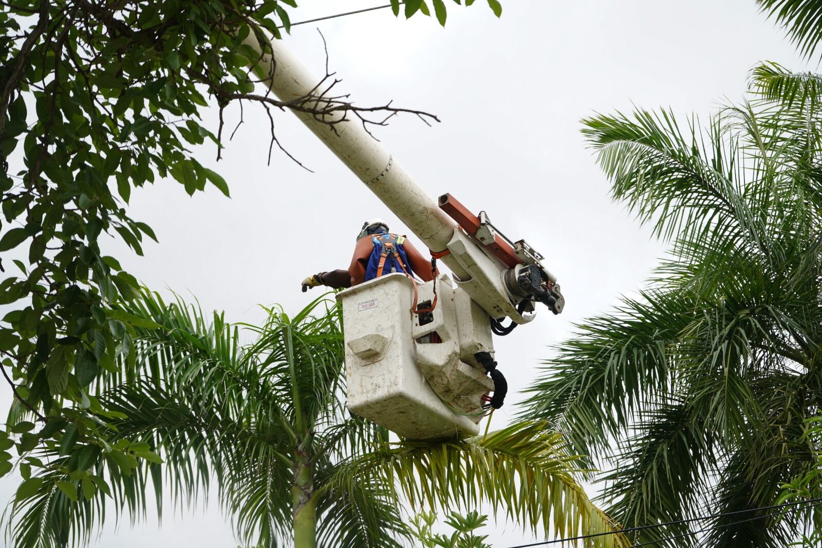 Imágenes de trabajos por parte del personal de la empresa. Foto: cortesía Air-e