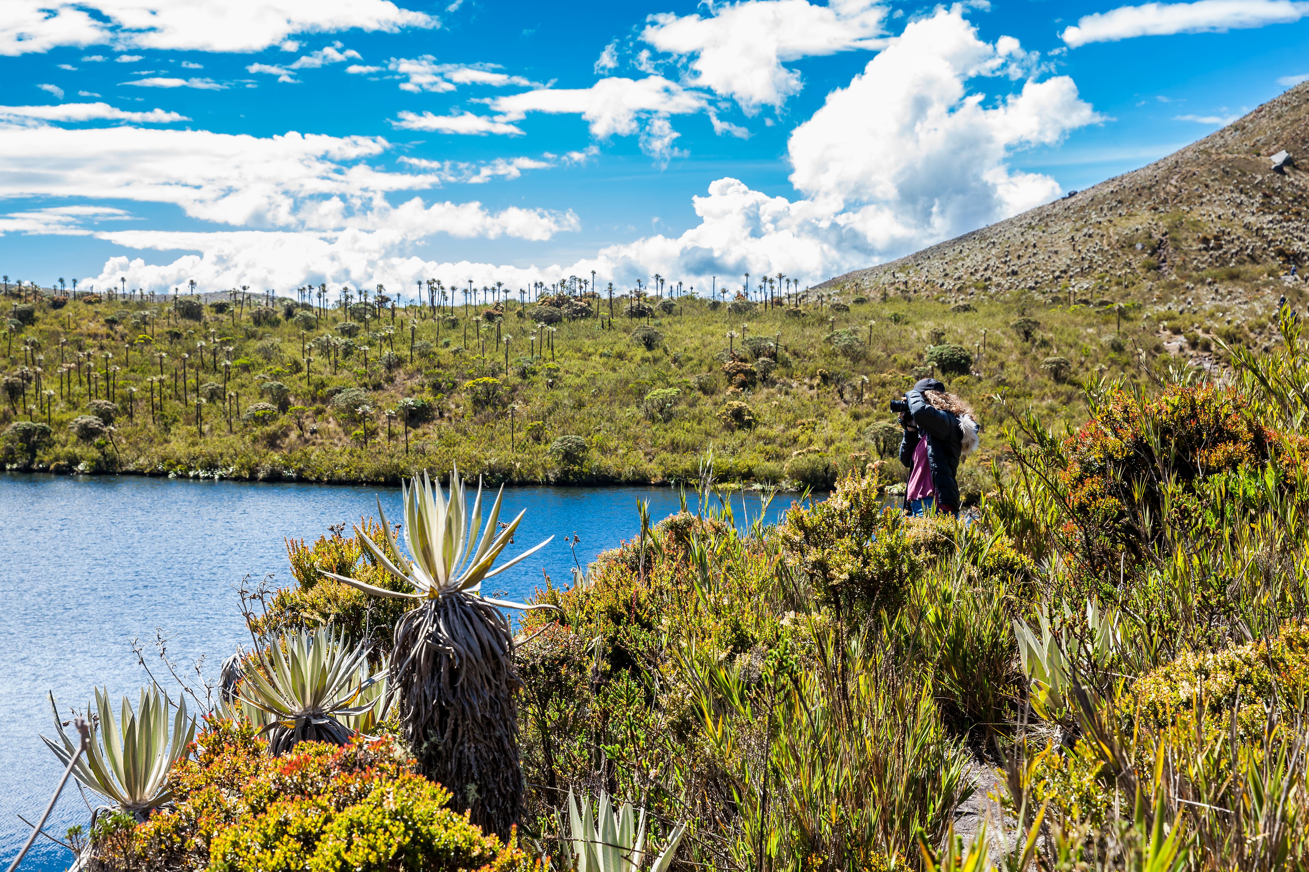 Joven explorando la naturaleza de un páramo en el departamento de Cundinamarca en Colombia (Getty Images)