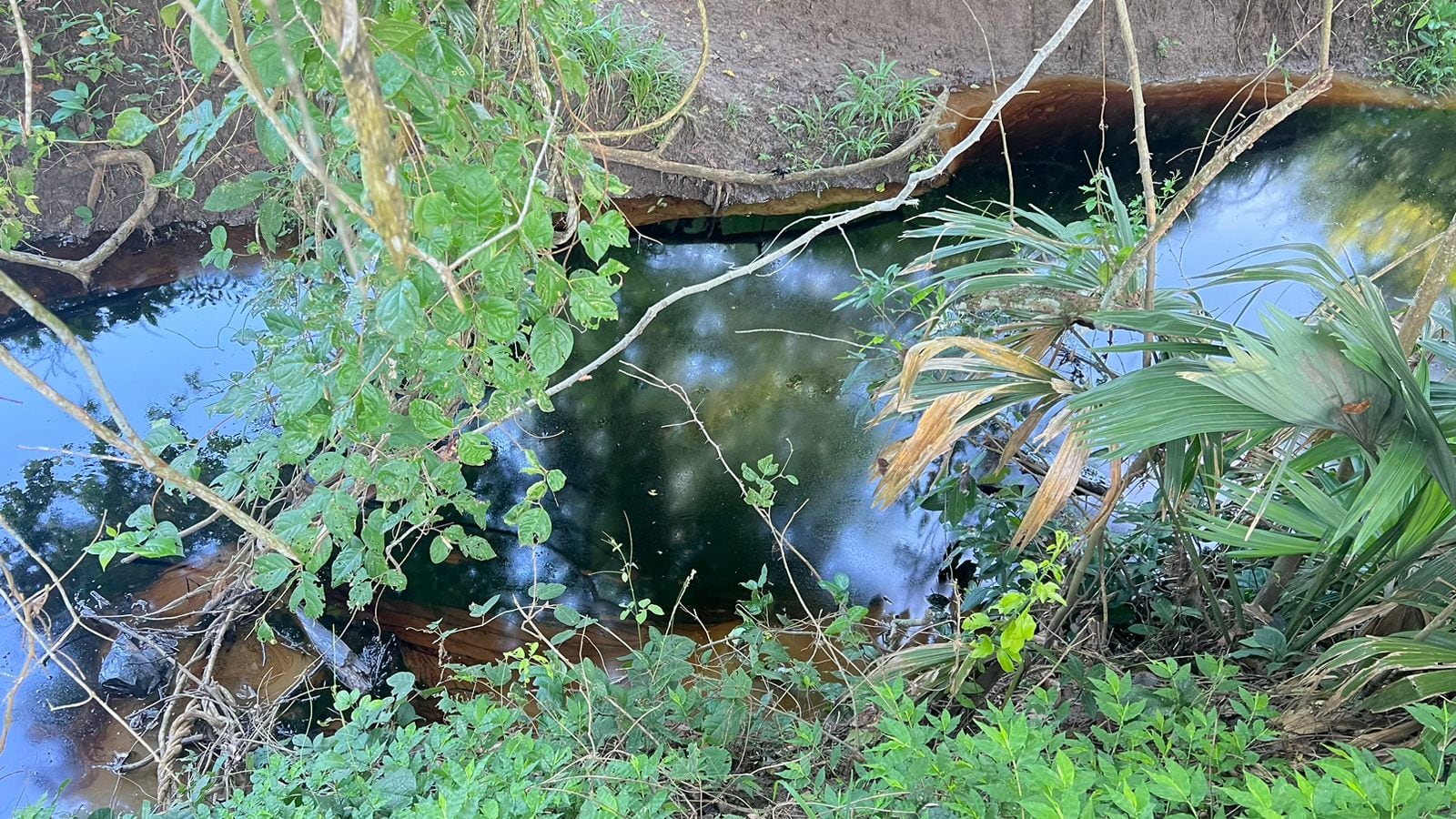 Siguen afectaciones por  derrame de crudo en el oleoducto Caño Limón Coveñas en Betulia, Sucre