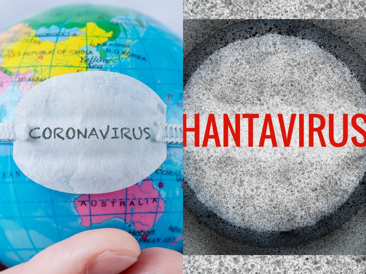 COVID y Hantavirus