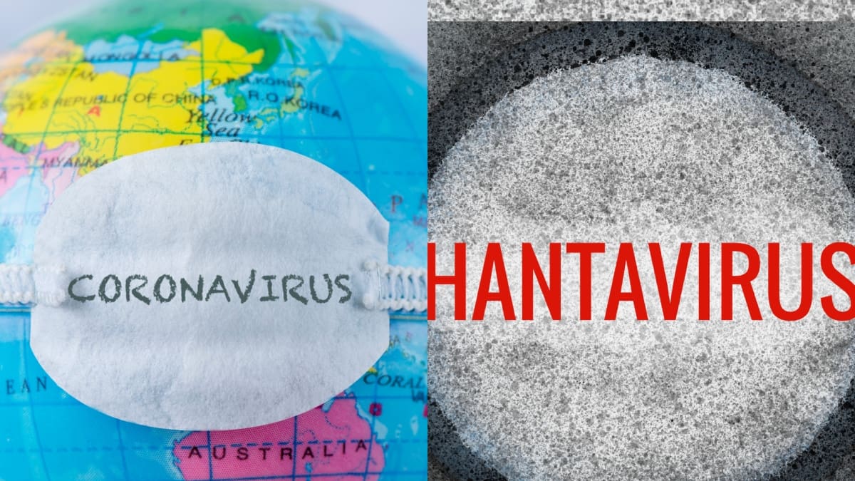 OMS descarta similitud entre brote de hantavirus en crucero y el inicio del covid-19 global
