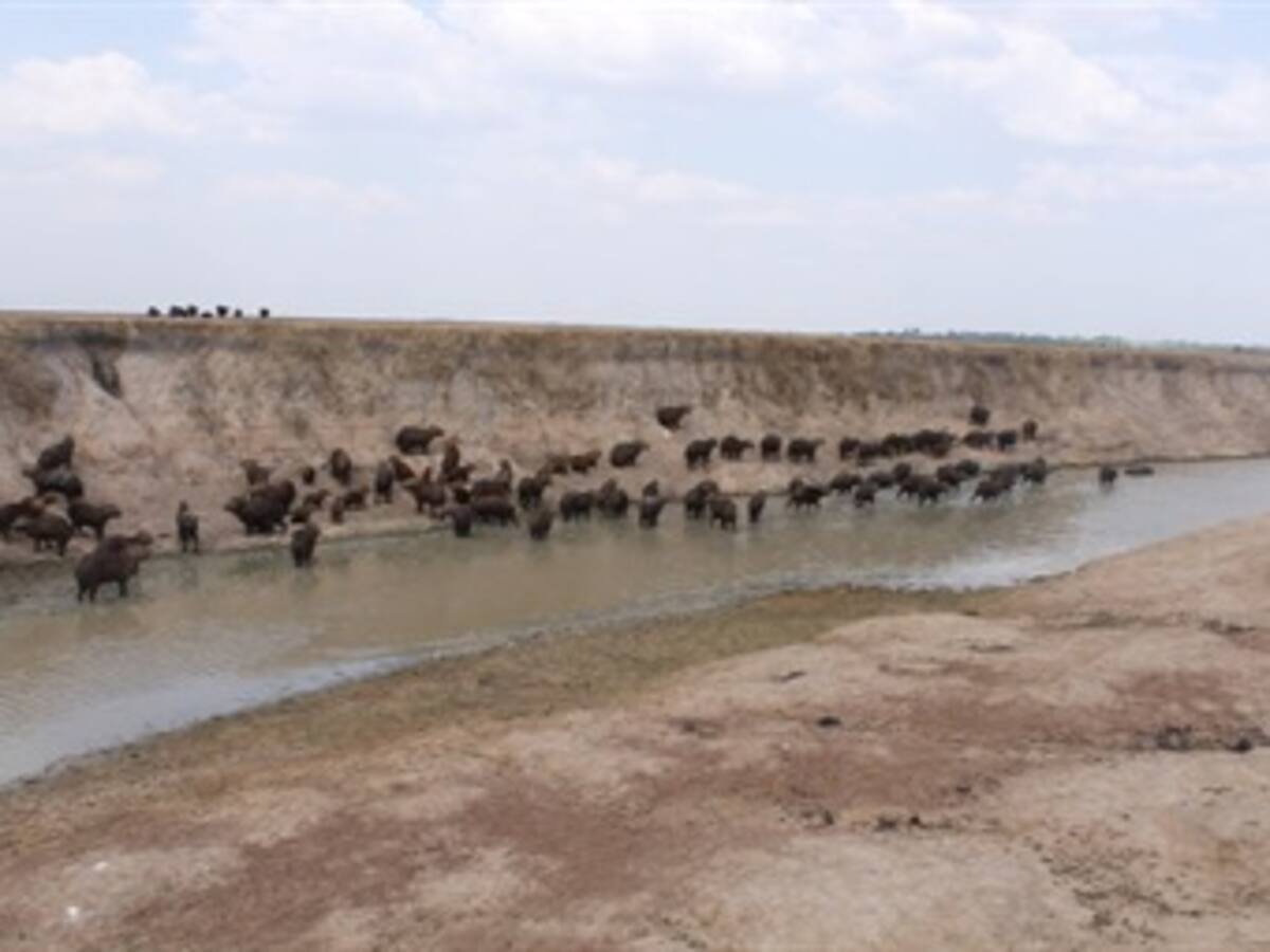 Cepeda exige cuentas a entidades estatales por desastre ambiental