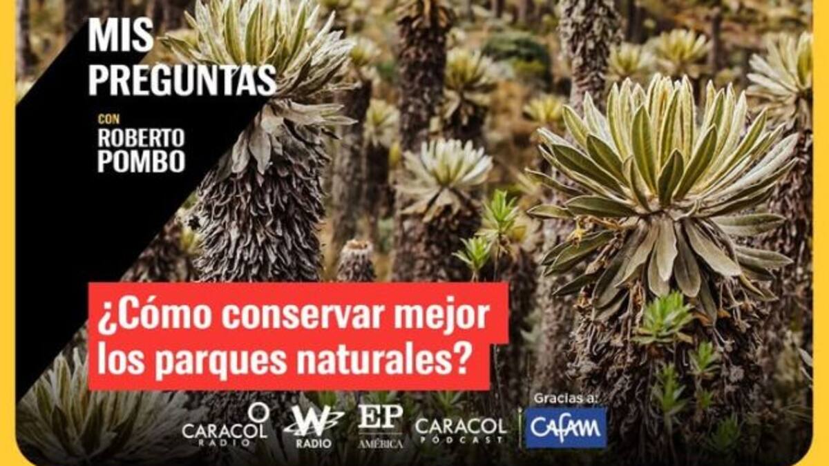 ¿Cómo conservar mejor los parques naturales?