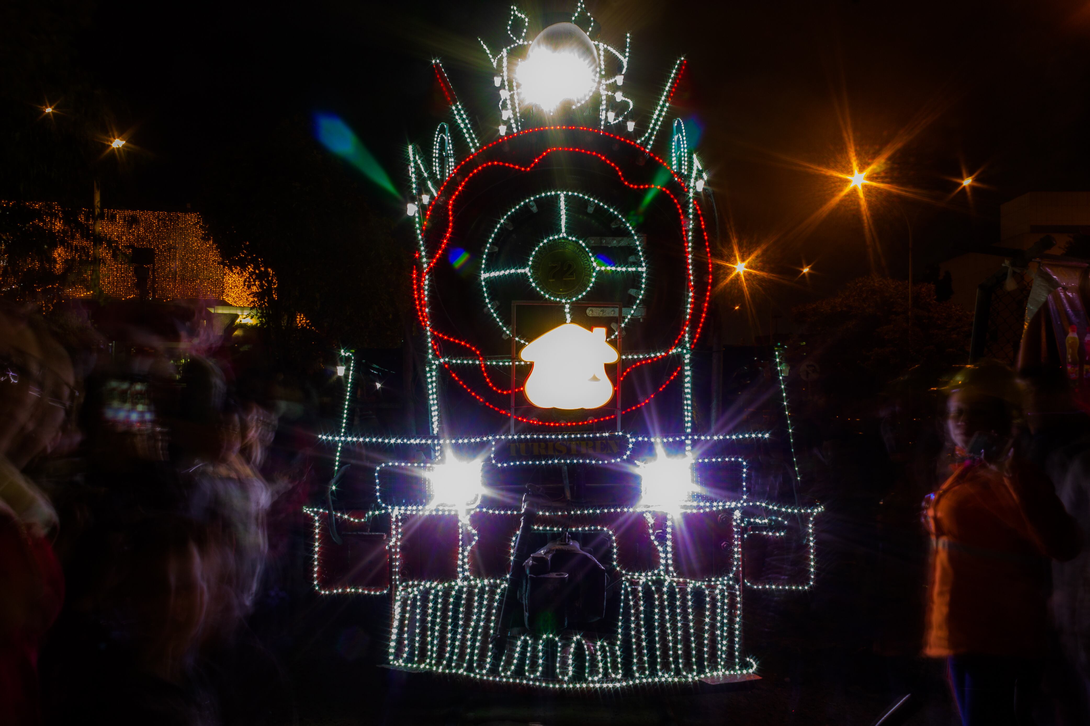 Tren de la Sabana Navideño (Getty Images)
