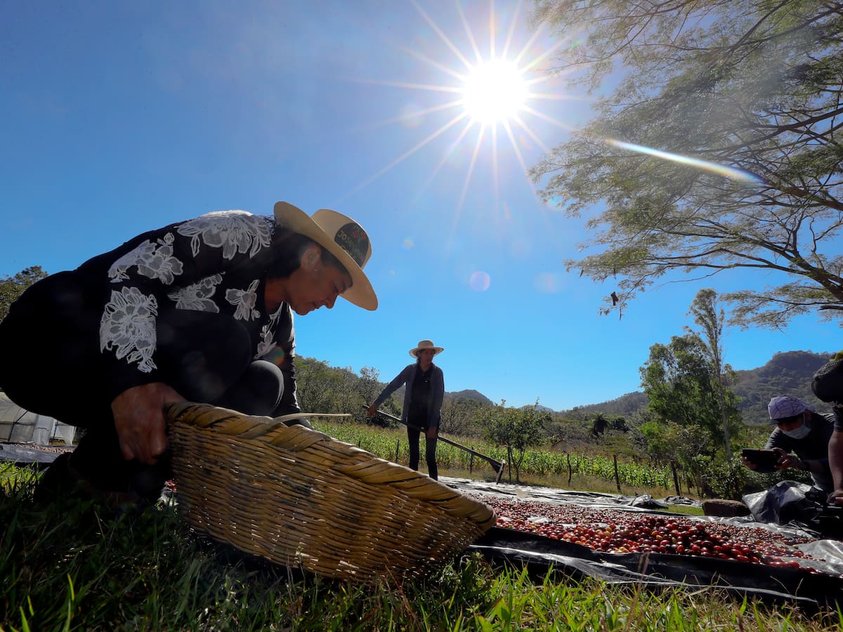 Agricultores del Tolima impactados por el fenómeno de El Niño