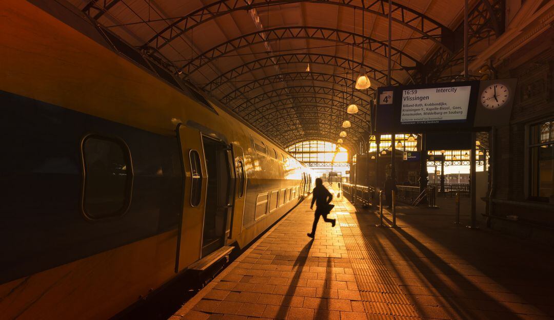 Dos niños saltaron a rescatar a su perro y murieron los 3 arrollados