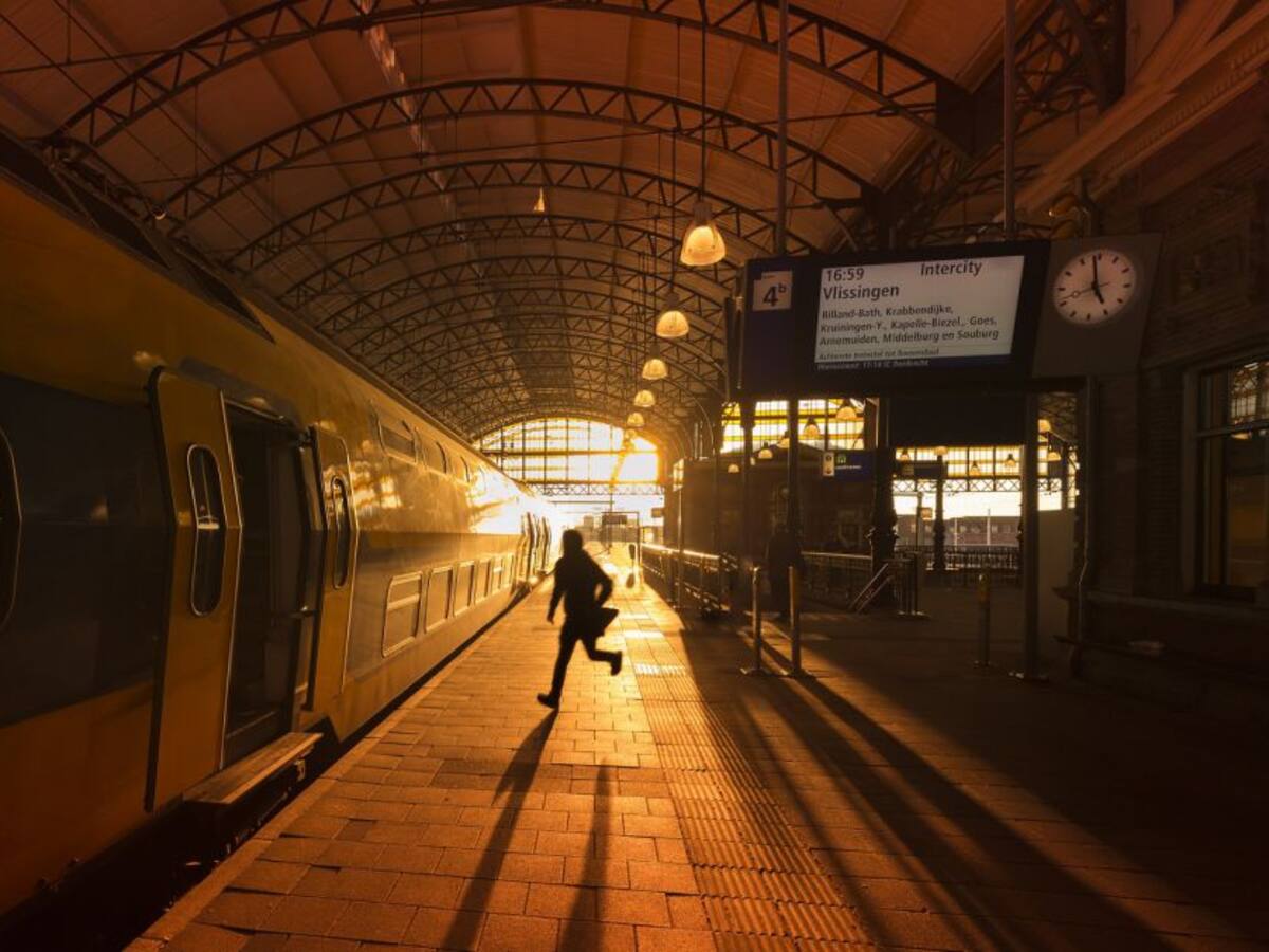 Dos niños saltaron a rescatar a un perro y murieron los 3 arrollados