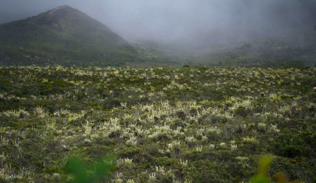 Páramo Sumapaz