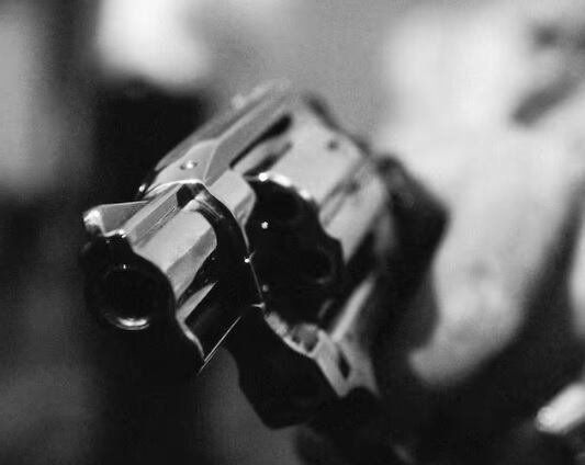 Imagen de referencia de arma de fuego. / Laurent Hamels