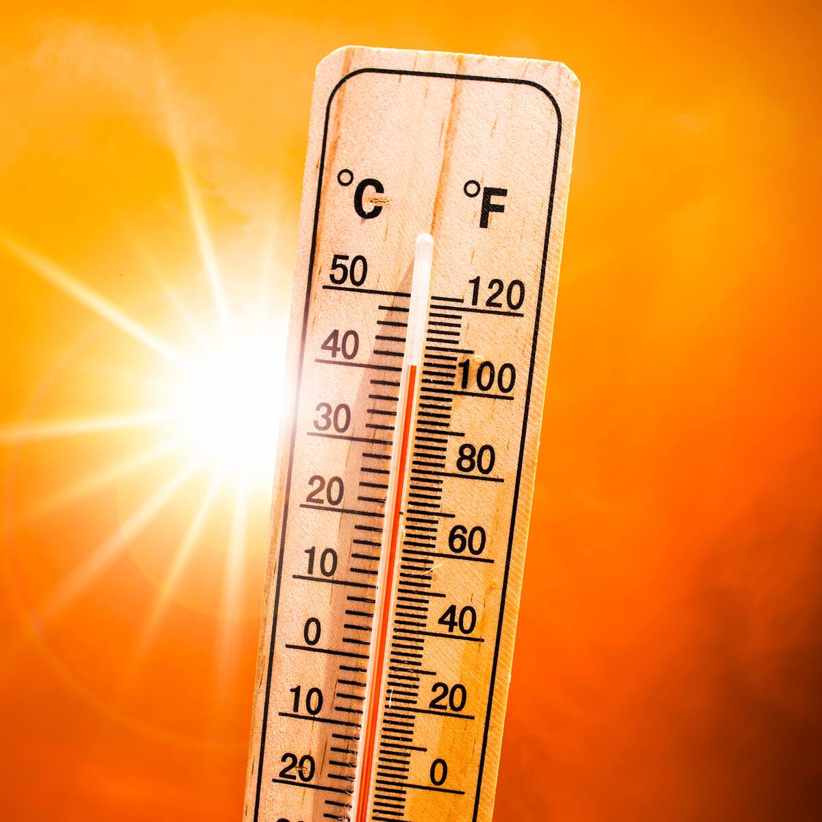 ¿Cuál es el clima más saludable para el cuerpo, el frío o el calor? Esto dicen expertos