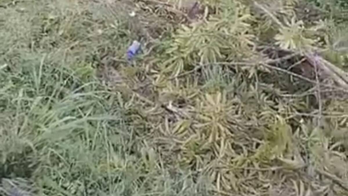 Trece heridos en el accidente de un bus que transportaba docentes en Sucre