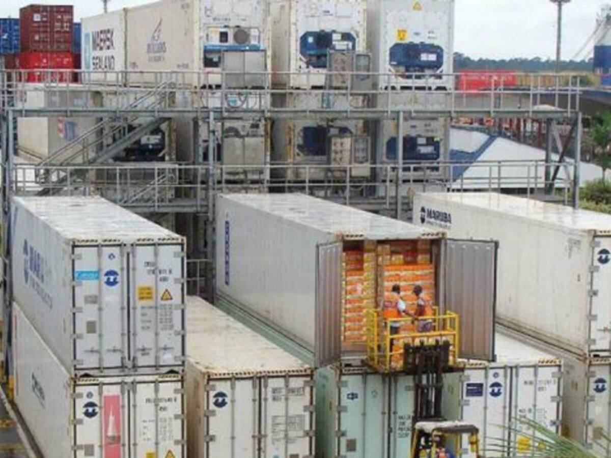 Exportaciones colombianas cayeron un 41,6% en agosto