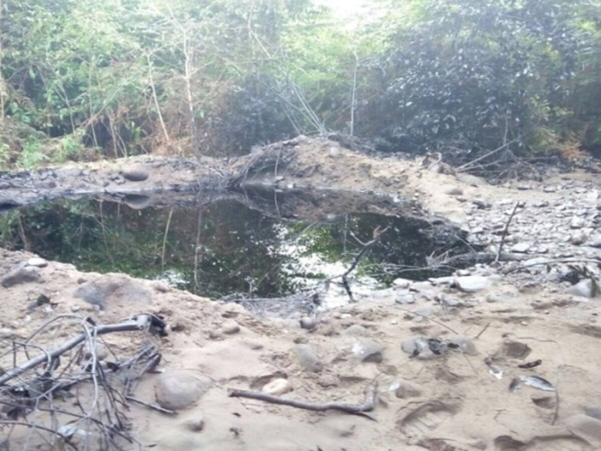 Continúan atentados contra el oleoducto Caño Limón-Coveñas