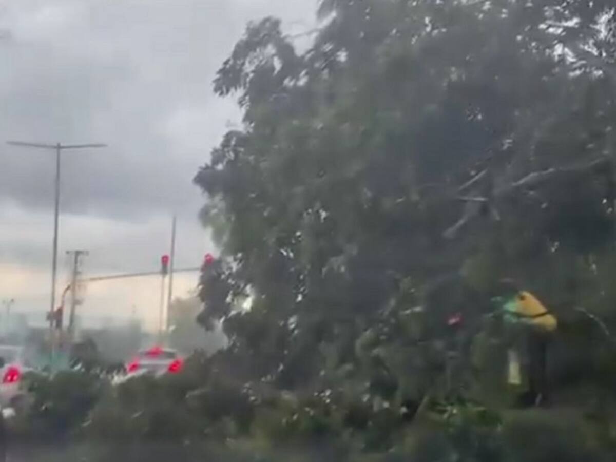 Vendaval generó afectaciones en varios municipios del Quindío