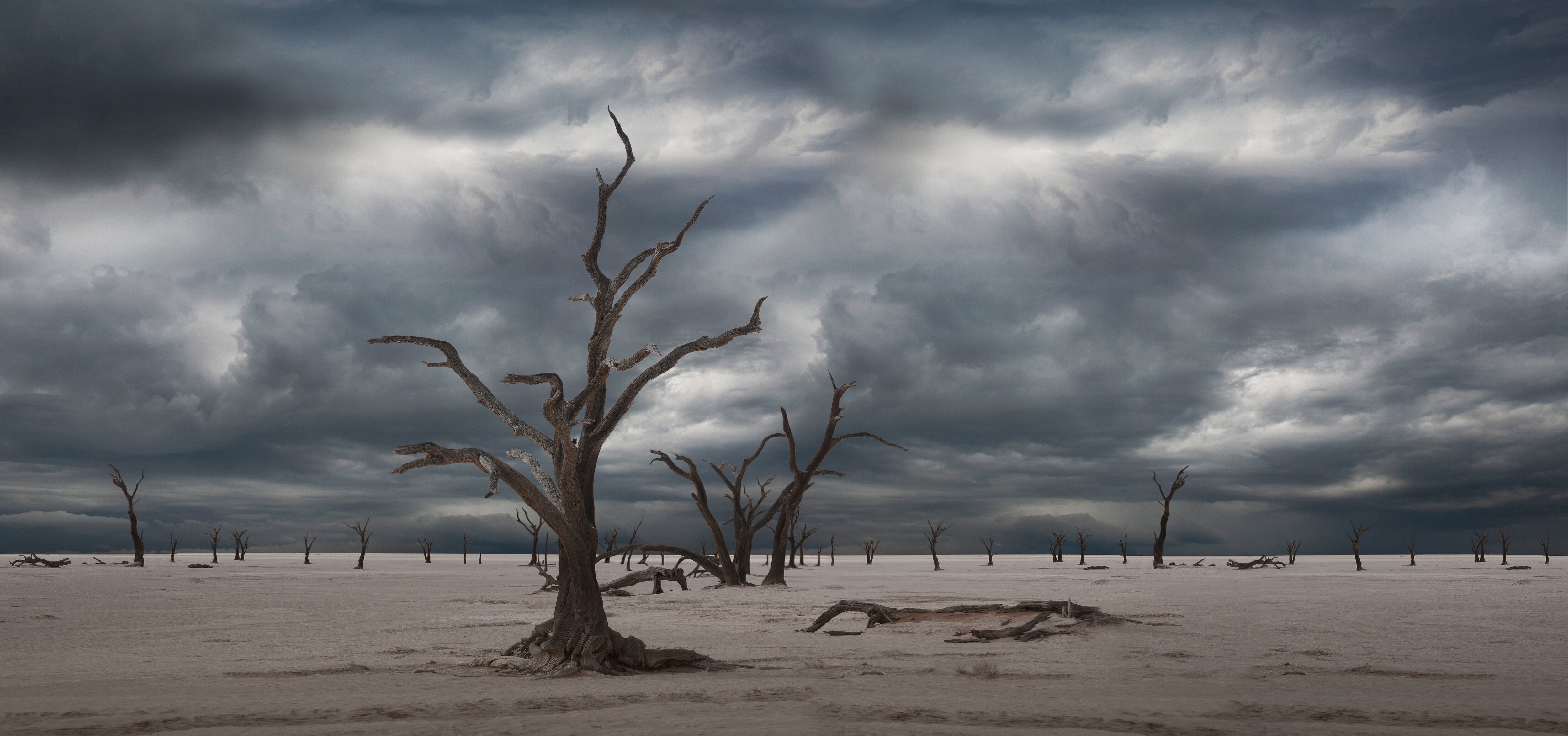 Séptima extinción masiva / Getty Images