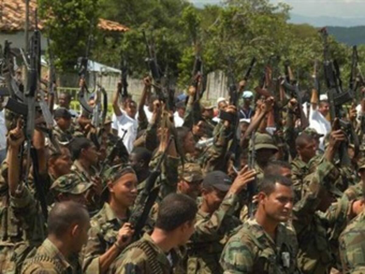 Baja de 'Guillermo Pequeño' es un golpe contundente contra las Farc: FF.MM.