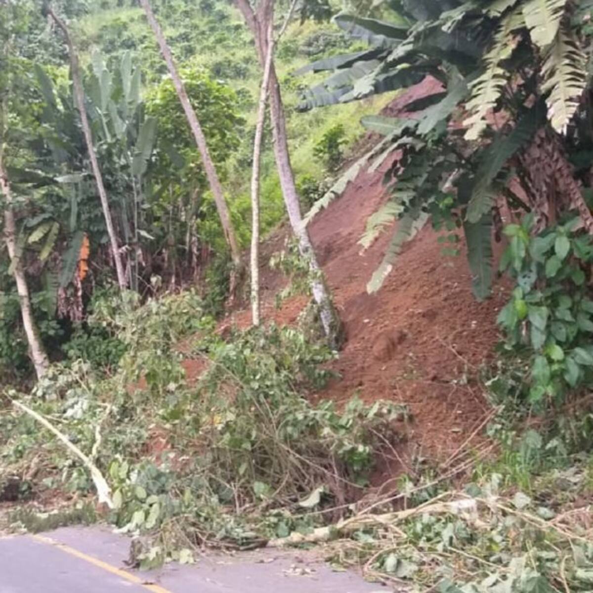 Aguaceros generan problemas en carreteras de Caldas