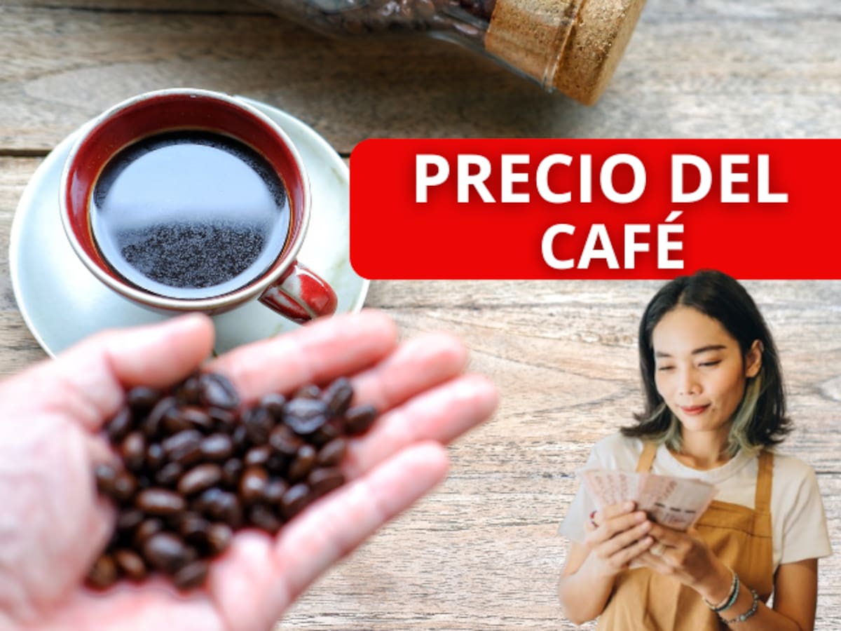 ¿Subió o bajó? Precio del café HOY 24 de abril: así finaliza la semana