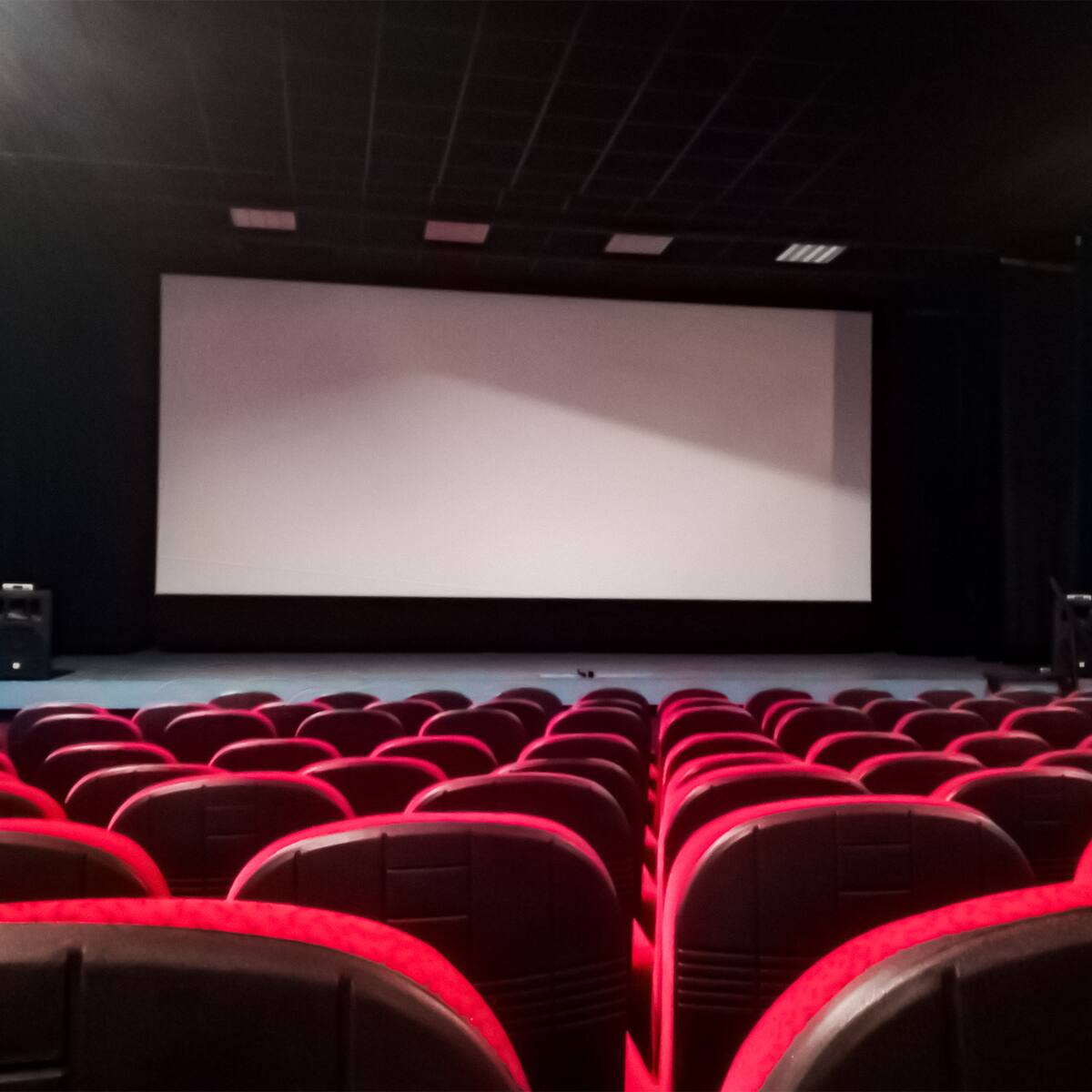 ‘La bola negra’ representará a España por el Óscar a mejor película internacional