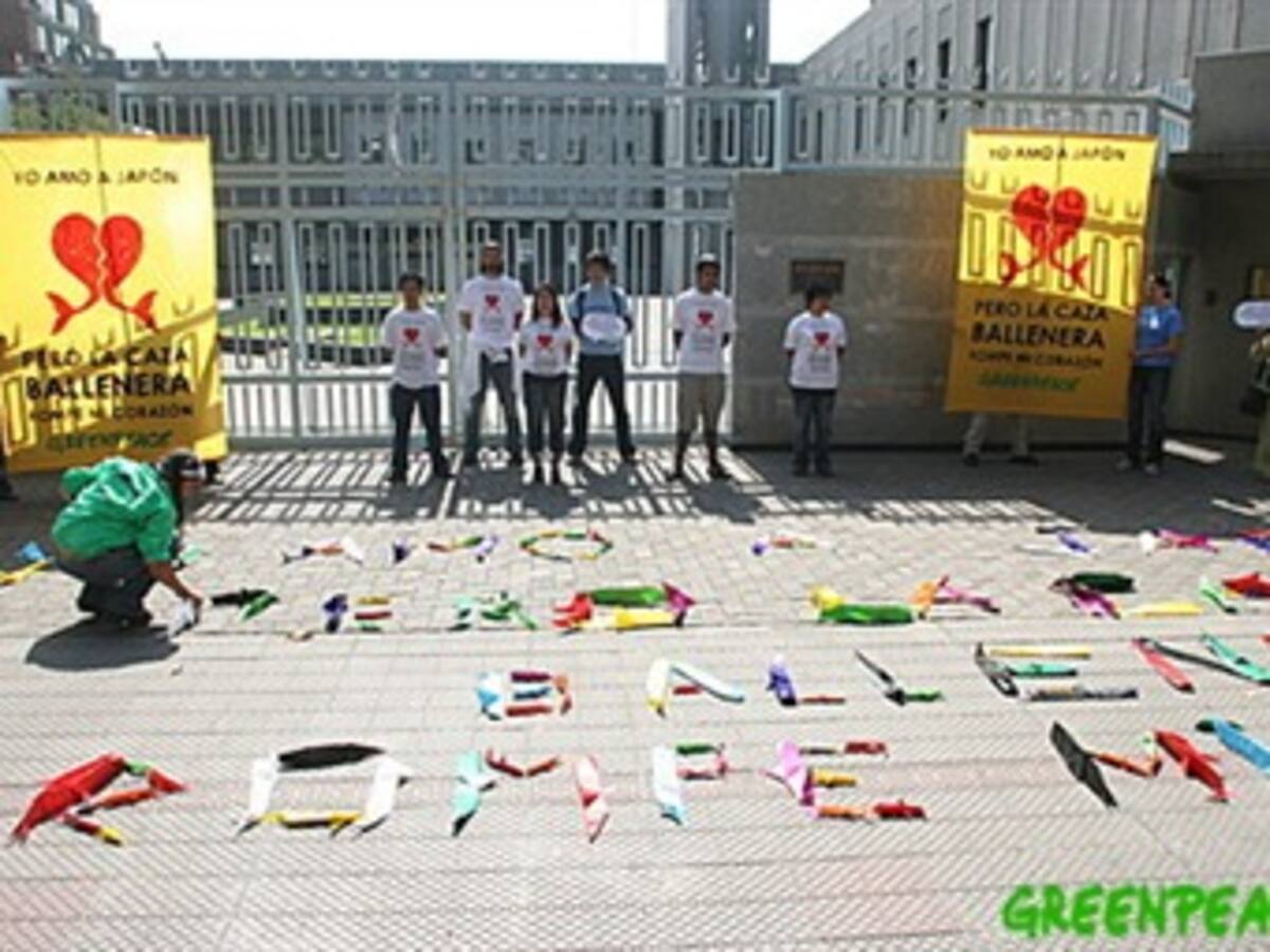 Greenpeace y activistas brasileños protestan contra represa en la Amazonía