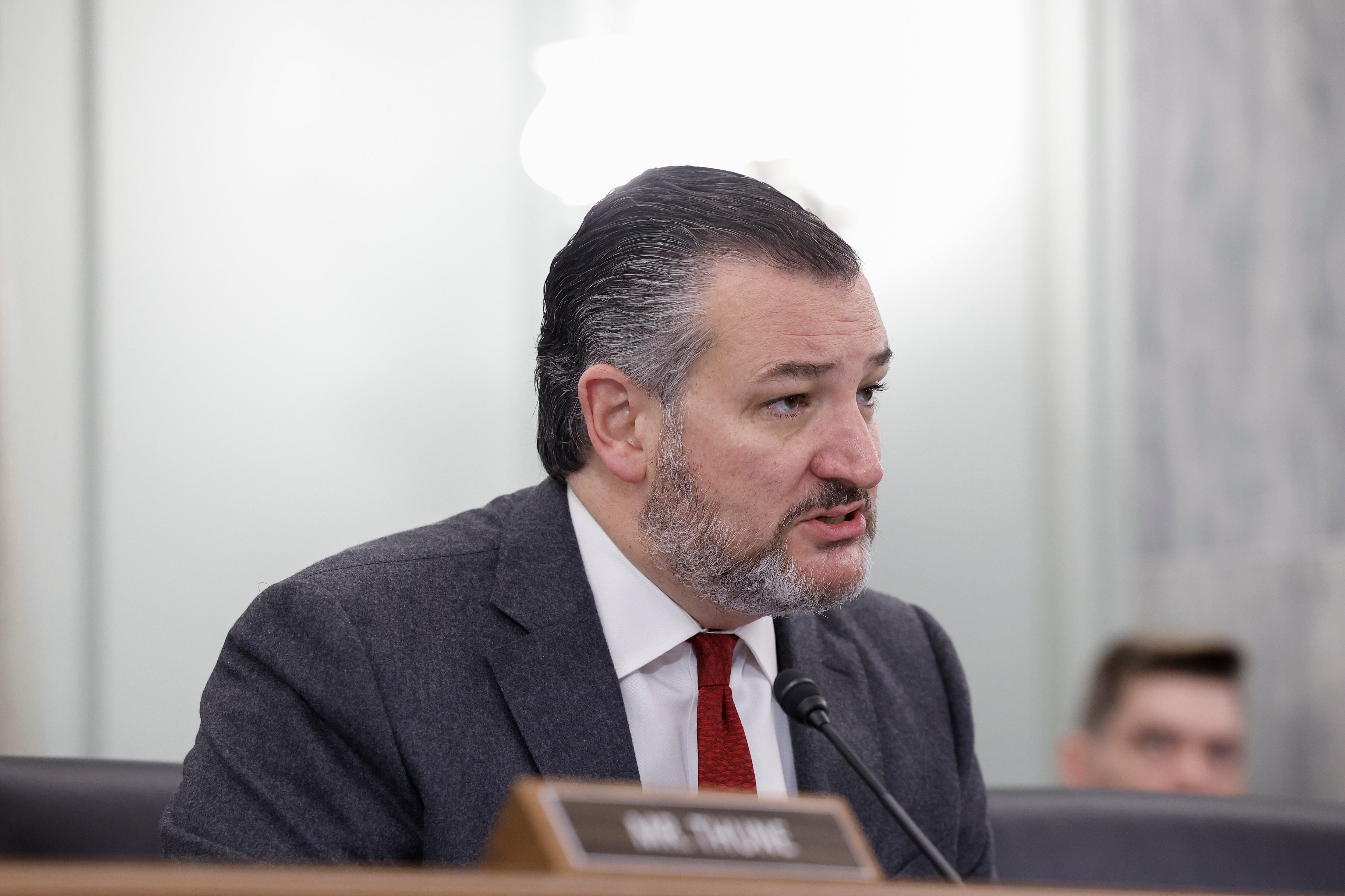 Senador republicano Ted Cruz califica a Gustavo Petro de “anti-americano”