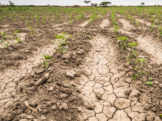 Se cumple el primer mes de la temporada seca en Colombia