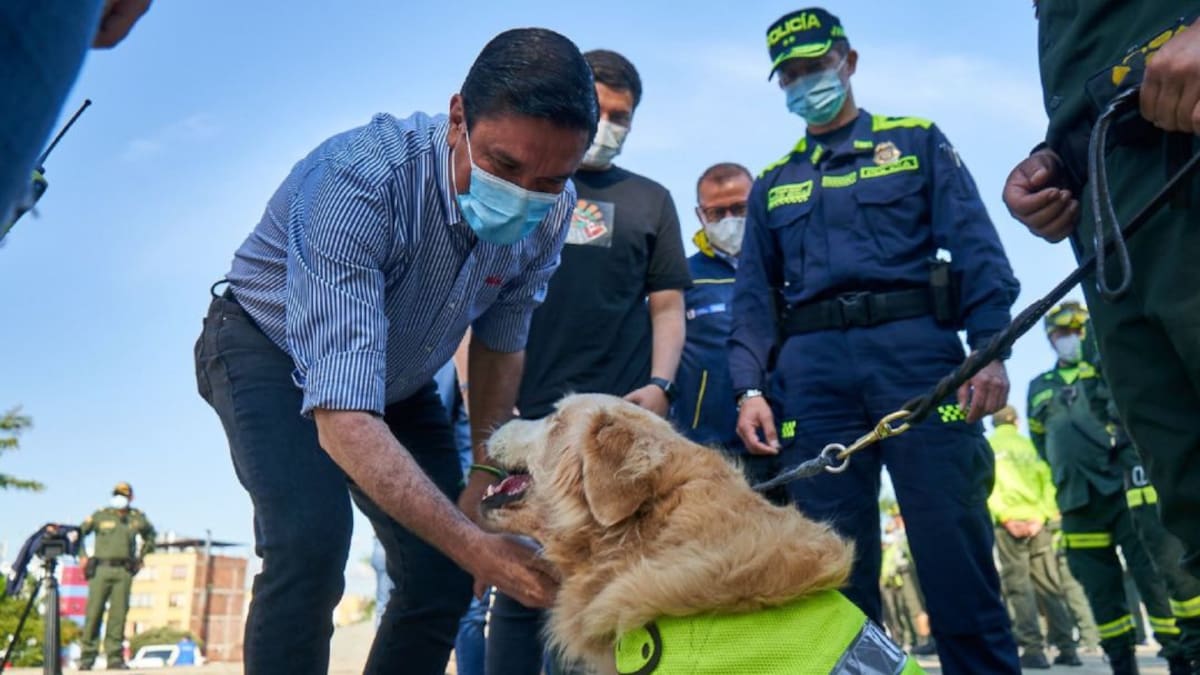 Animales en la calle tendrán atención médica inmediata