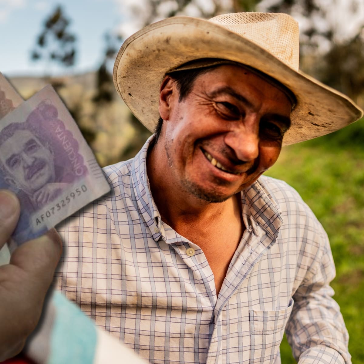 Devolución del IVA febrero 2026: link para conocer si recibe el subsidio y fechas del pago