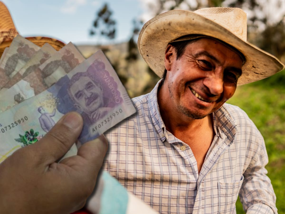 Devolución del IVA febrero 2026: link para conocer si recibe el subsidio y fechas del pago