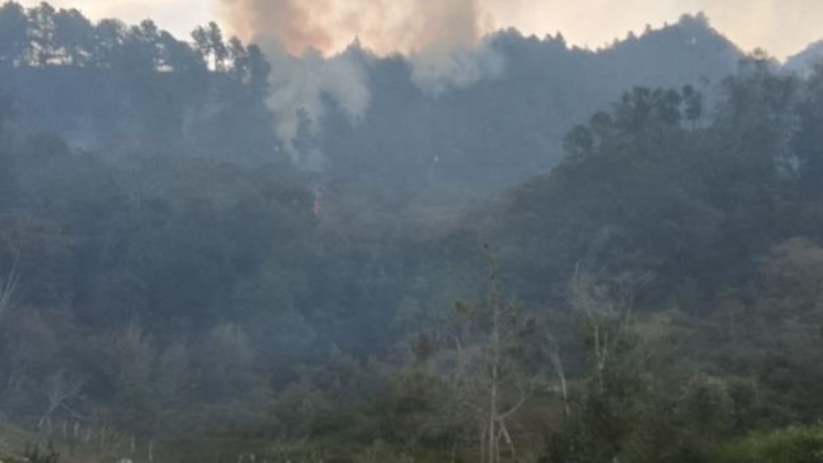 Solicitan apoyo aéreo al Gobierno Nacional por incendio que permanece activo en Charta, Santander