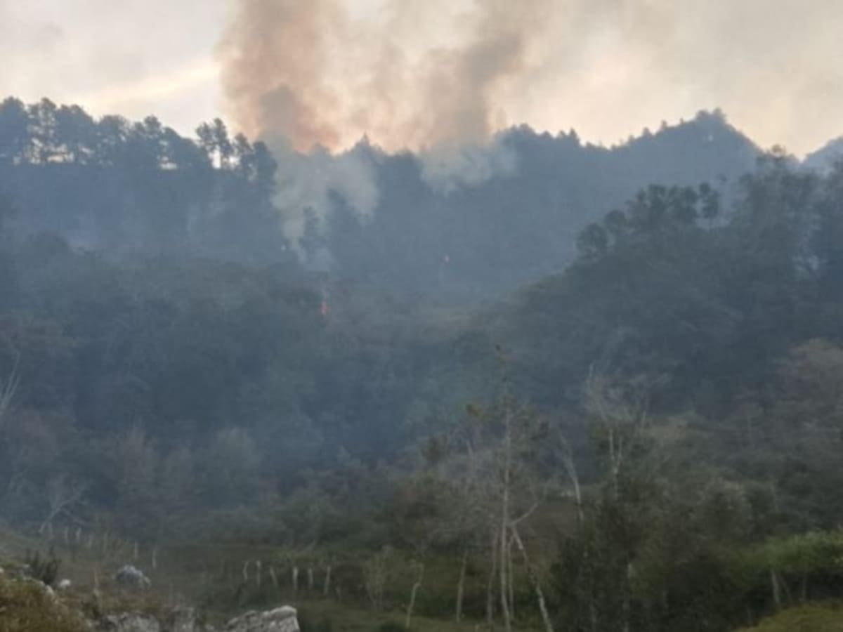 Solicitan apoyo aéreo al Gobierno Nacional por incendio que permanece activo en Charta, Santander