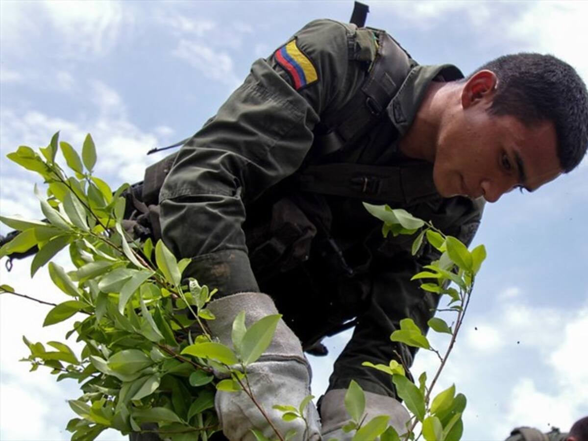 92% de la cocaína que ingresa a EE.UU. es colombiana: DEA