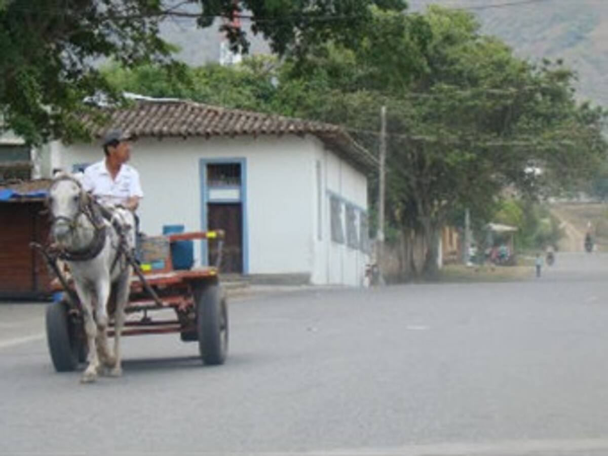 FF.MM. denuncian ataque de las Farc a civiles en el Cauca