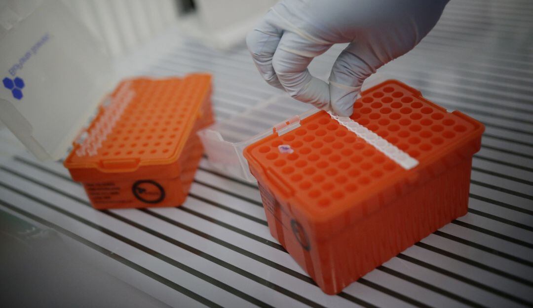 Los municipios con mayor incidencia son Magangué, Arjona y El Carmen de Bolívar