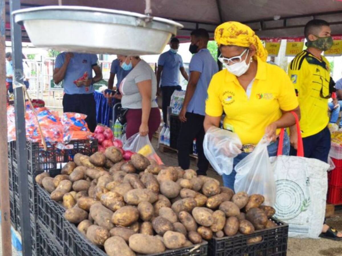 Este domingo, PES-PR llevará Mercado Campesino al 20 de Julio