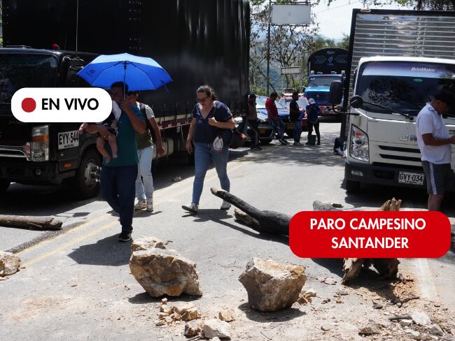 Paro campesino en Santander - Imagen de referencia tomada de X. Foto: Marco Valencia