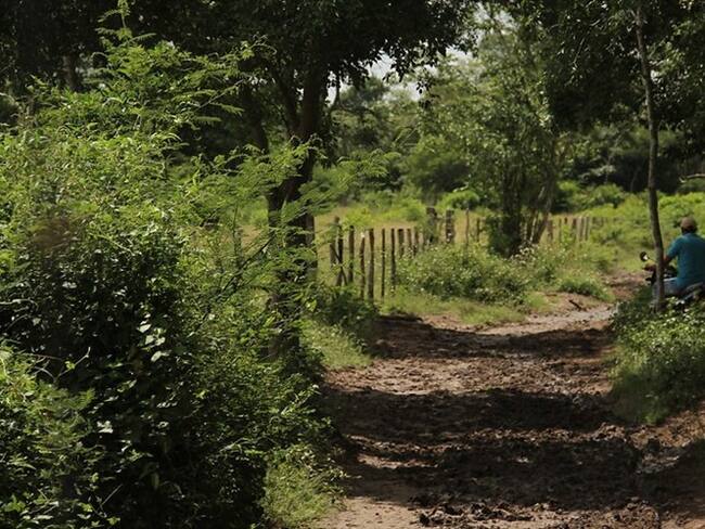 Concejal de Turbo presuntamente lideraría banda dedicada al despojo de tierras. Foto: Colprensa