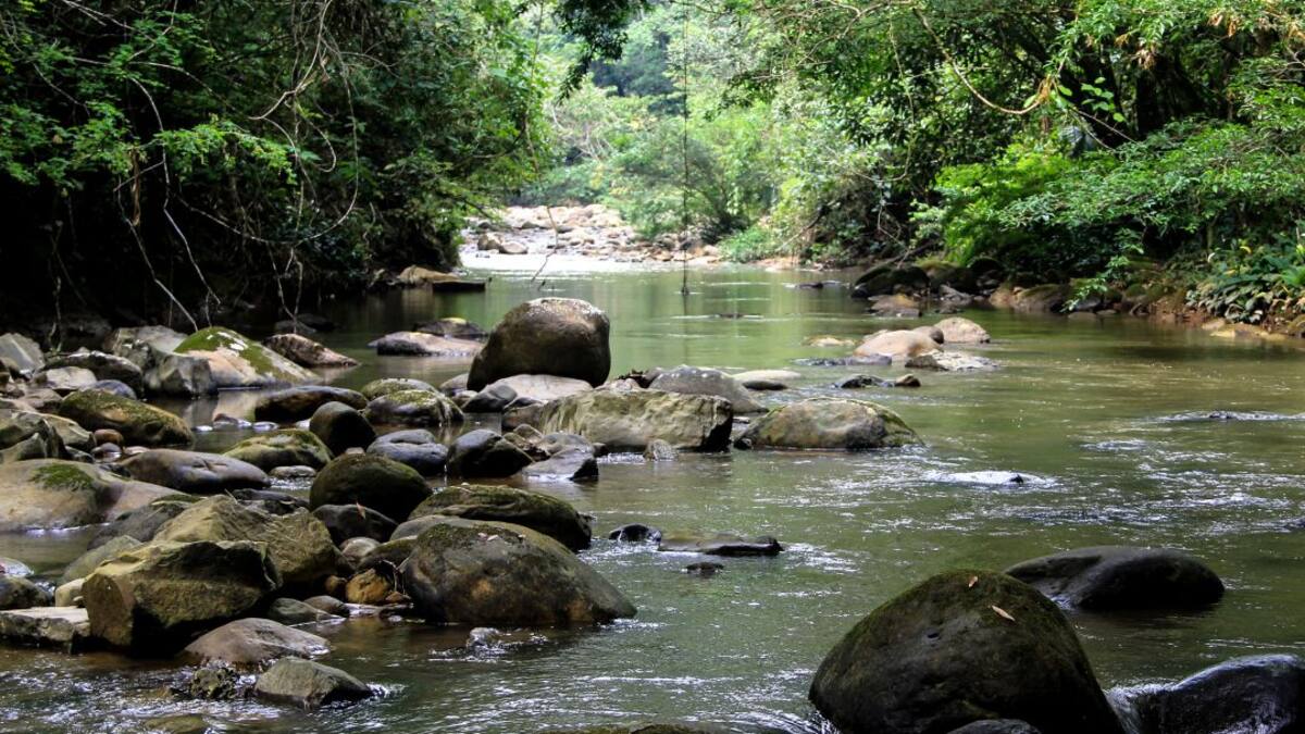 Miguel Torres, co-fundador de Awake Travel