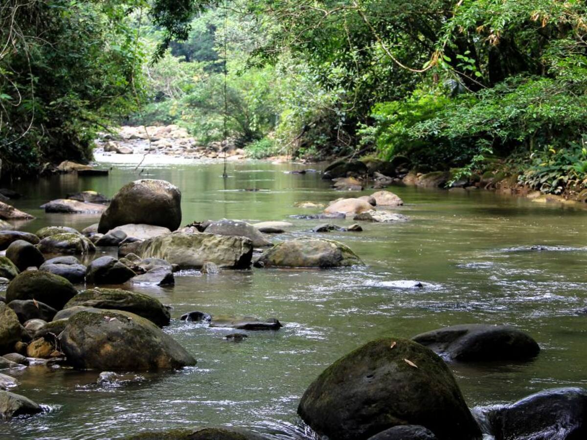 “Turismo de naturaleza ha reducido un 100% alertas de deforestación”