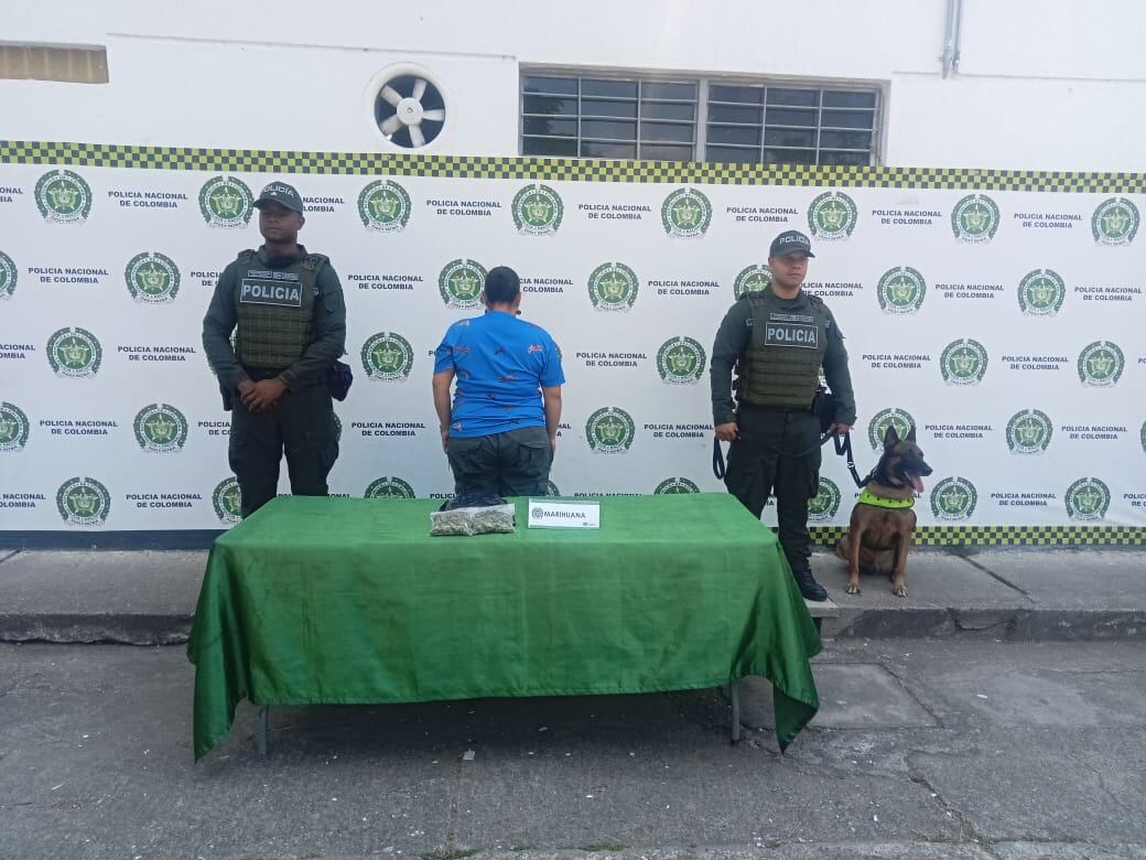 Bióloga capturada en Tuluá - Policía Valle