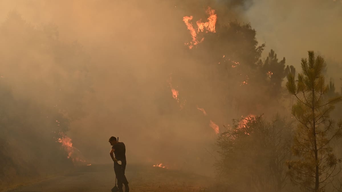 Incendios en el sur de España dejan al menos 12 personas muertas