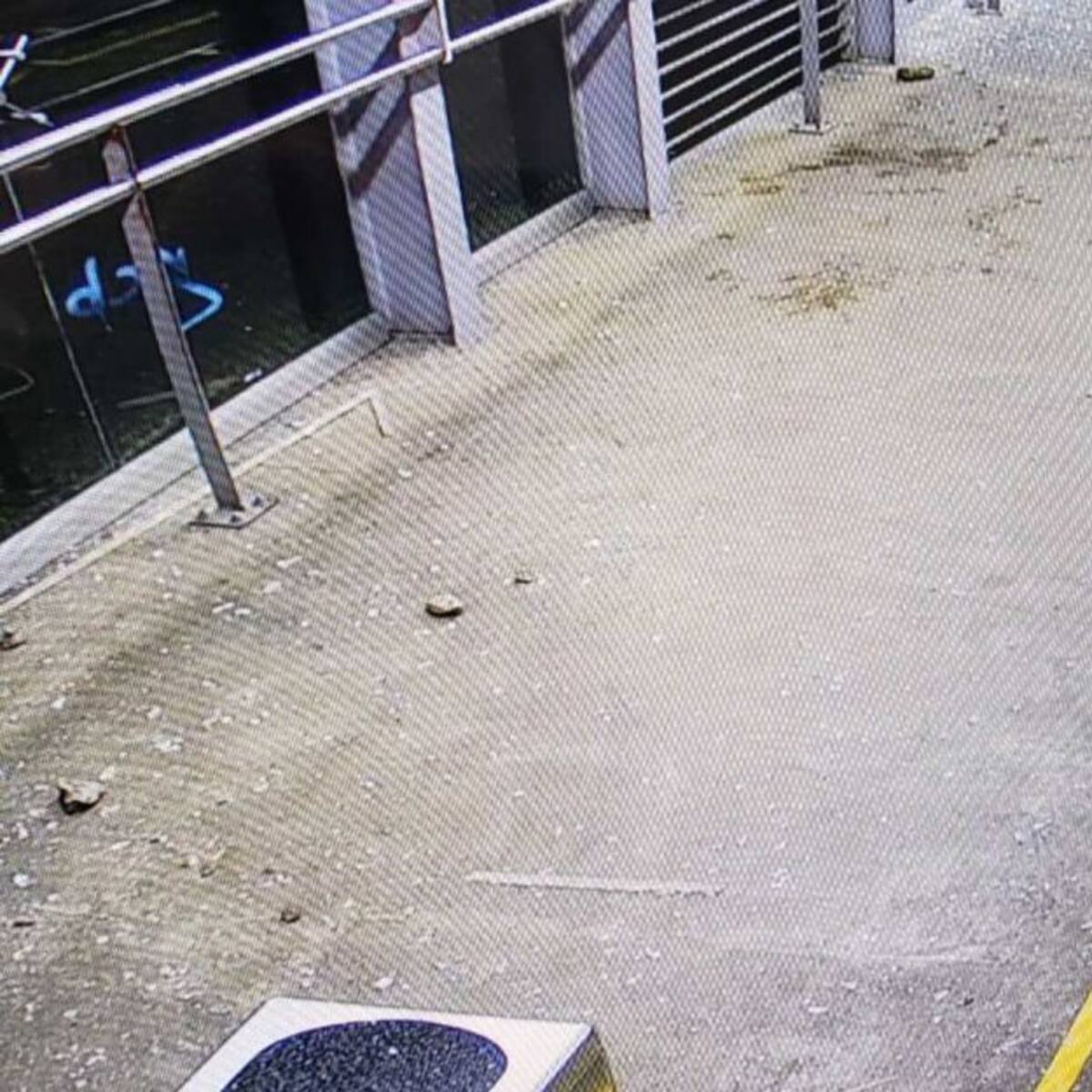 Otra noche de desórdenes se registró en el Área Metropolitana de Pereira