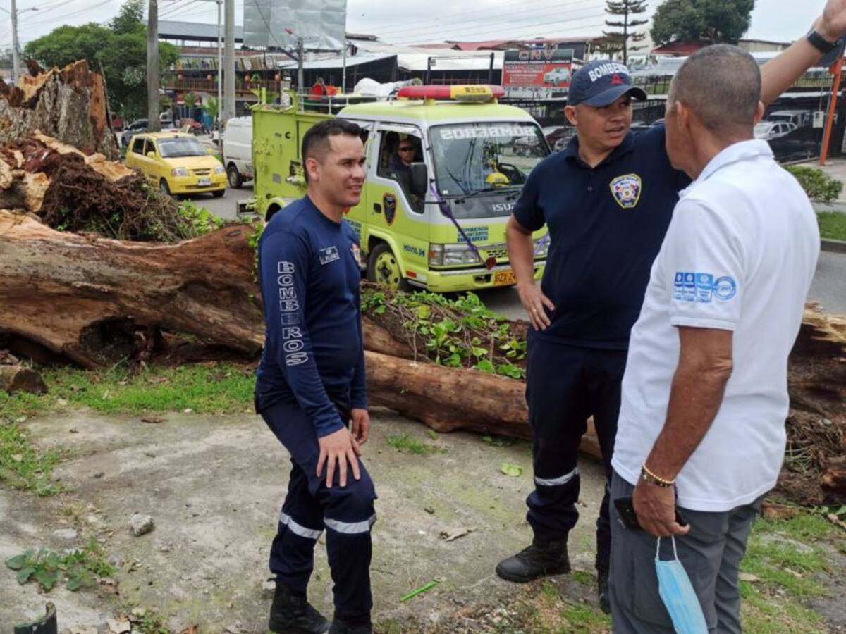 La caída de un árbol provocó graves lesiones a dos mujeres en Ibagué