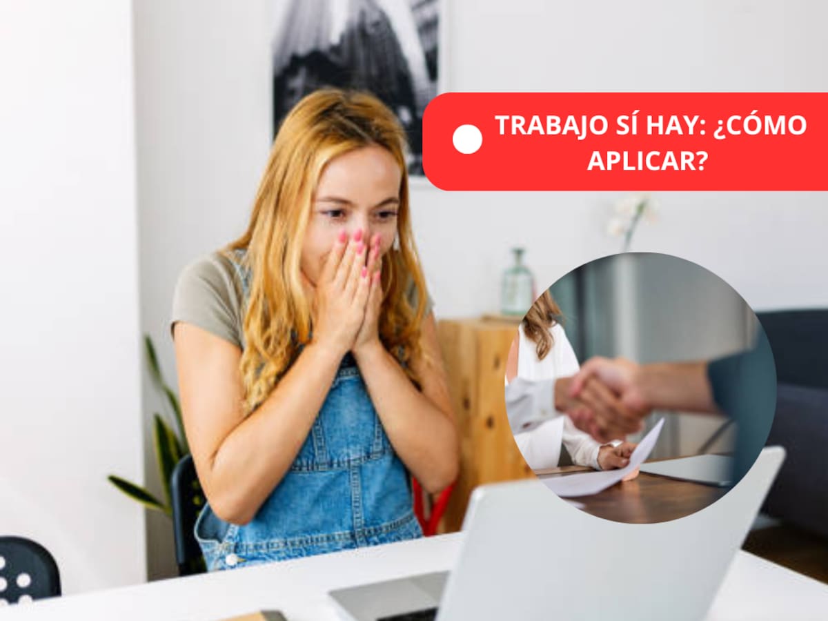 ¡Aplique! Más de 4.900 ofertas laborales Secretaría Distrital de Desarrollo: Cargos que buscan y más