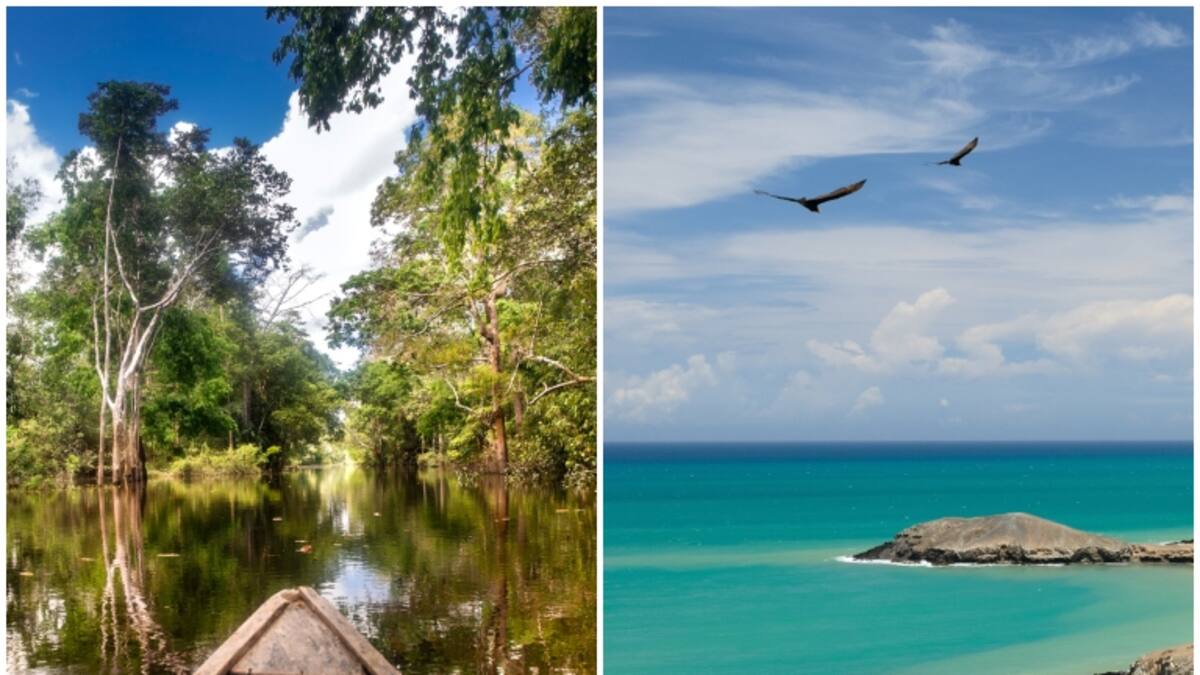 Qué es más cerca: ¿Ir de Bogotá a la Guajira o al Amazonas? Días de recorrido