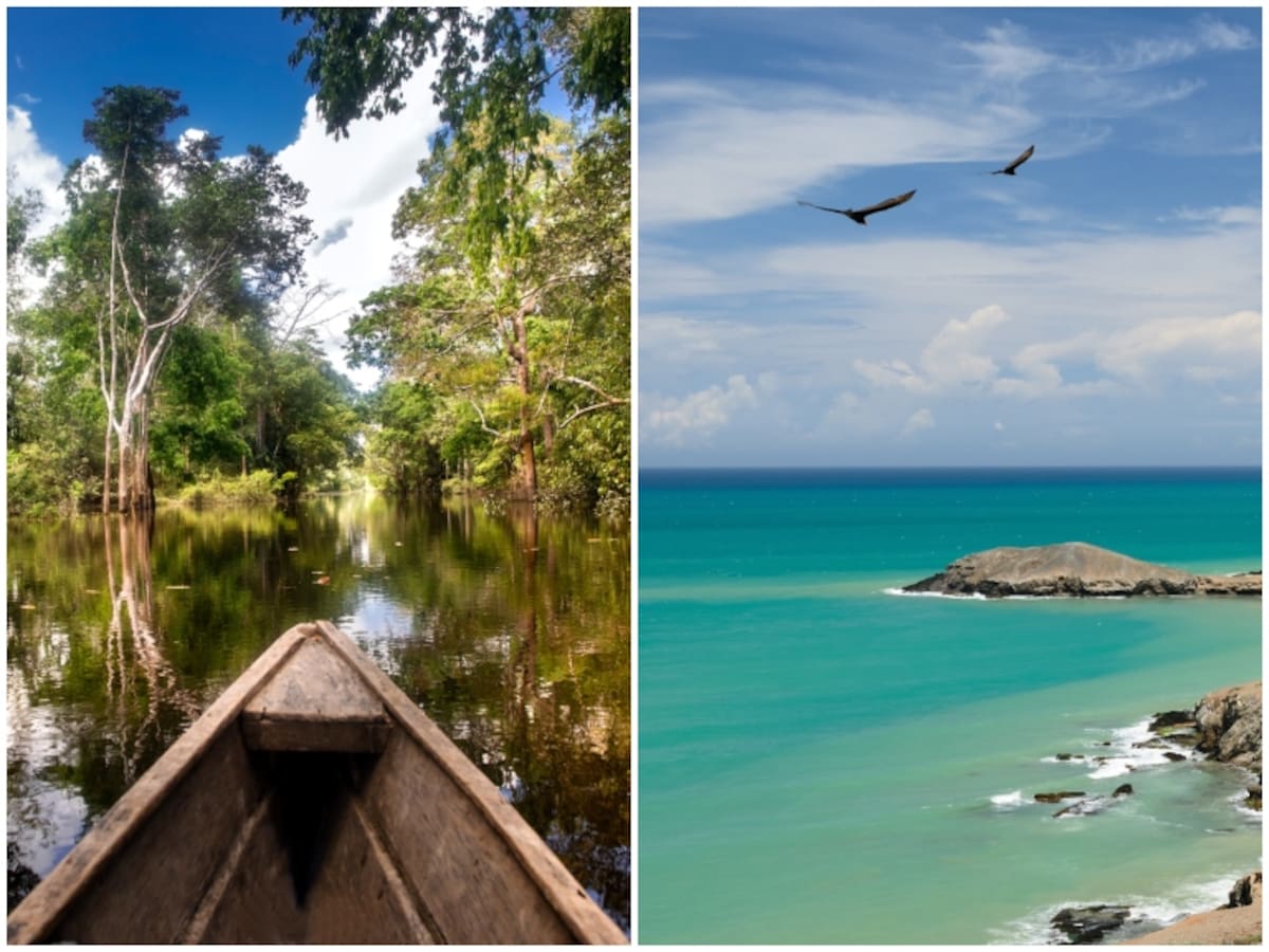 Qué es más cerca: ¿Ir de Bogotá a la Guajira o al Amazonas? Días de recorrido