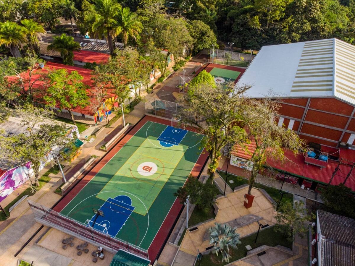 Universidad del Tolima mejoró su Índice de Desempeño Institucional según medición nacional